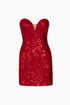 Maroon Bodycon Mini Dress
